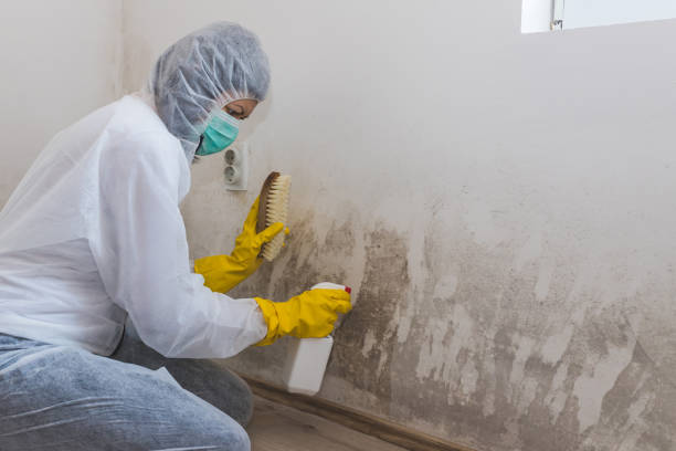Water Damage Restoration in Canton Valley, CT
