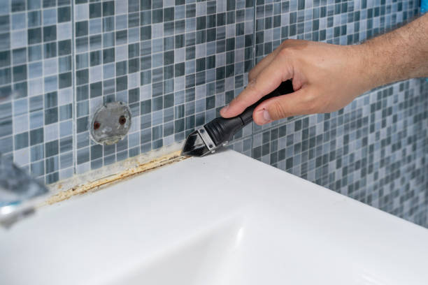 Best Certified Mold Removal  in Canton Valley, CT